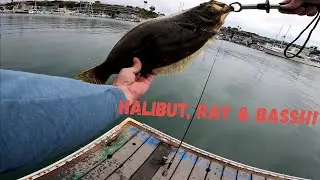 Newport Beach - Live Bait Fishing