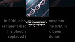 New DNA #dna #science #sciencefacts