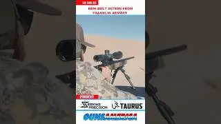 Franklin Armory Prevail &mdash; новая винтовка с продольно-скользящим затвором #shorts