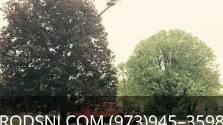 Tree Trimming Chatham NJ