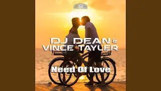 Need of Love (Shinzo Radio Edit)