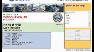 Visit Detroit Auto Auction Online
