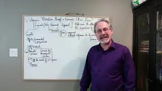 Sherwin, Abortion, Feminist Lens