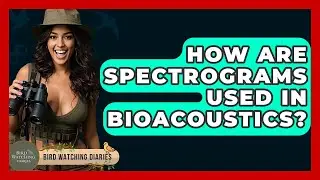 How Are Spectrograms Used In Bioacoustics? - Bird Watching Diaries