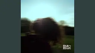 mode animal