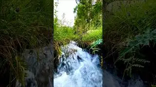 Kalam Swat Valley Natural Beauty | #shorts #ytshorts #nature