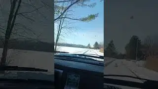 Going back to the woods on this snowy day