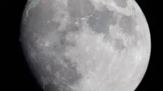 Buck Moon Waning, June 29&ndash;July 4, 2020