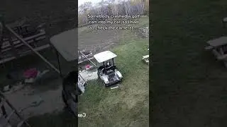 This dog did a hit and run. Funny trending video. Viral smart dog.