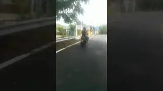 Doggy style ride.