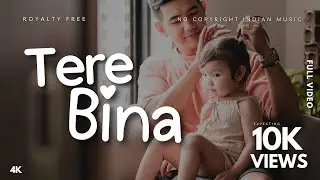 Tere Bina | Hindi Sad Romantic LoFi | No Copyright Indian Music | Free Background Music