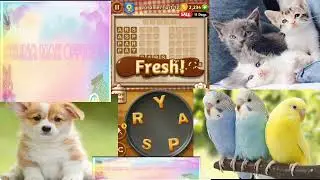 {Word Cookies}Glittering - Caramel Tart  - Levels 1 to 20 (celina mak official)