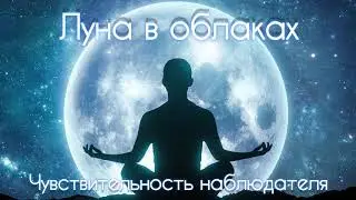 Чувствительность наблюдателя-#18 