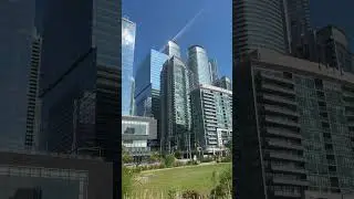 The Best Way to Relax After Photographing Toronto