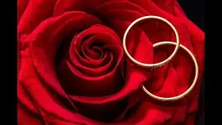 What Marriage Celebrants Do