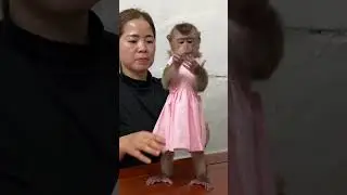 The fans gave Tina a beautiful pink dress. #monkeyfamily #monkey #babymonkey