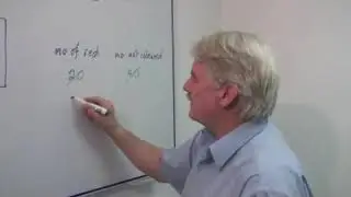 Calculating Ratios