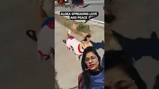 @thepeacedogaloka,hero of the year, spreading love and peace❤️#CutePetsDebutPlan #FantasticBeasts