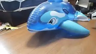 Inflatable dolphin riding 2