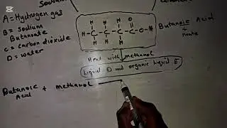 Organic Chemistry || Reactions of Carboxylic acids with Metals and Carbonates|| Esterification