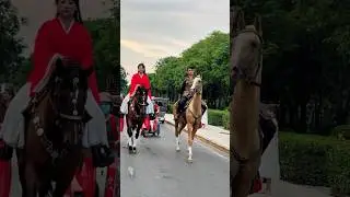 Three Kingdoms