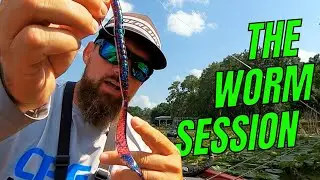 Worm Session | Lake Toho Plastic Worm Selection