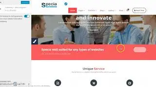 How to Change A Theme Color In Specia Pro