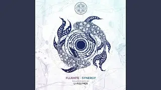 Synergy (Li-Polymer Remix)