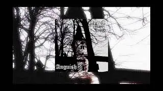 Hazing Leaves Scars (CZ) - Anguish (2023, demo)
