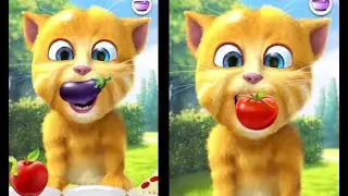Talking Ginger 2 🍗 Talking Ginger Cat funny videos 🐈my talking tom 