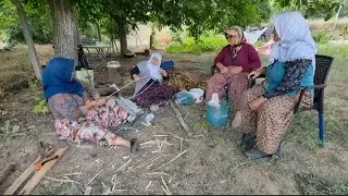 DÖNDÜ ABLANIN BAHÇE TURU KÖYDE POLEN İÇİN   YÖRÜK SALLANBACI EL BİRLİĞİ İLE KURULDU