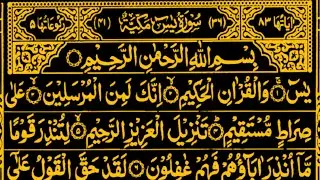 Surah Yasin 🌻🕊️ Surah ar Rahman | 🎙️ Beautiful Qur'an Recitation | Surah Mulk | Full surah Yasin 