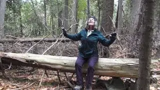 Fabulous Fun Fridays - Week 231: Is it Rock? Or is it Wood? It's Both! It's Rockwood.