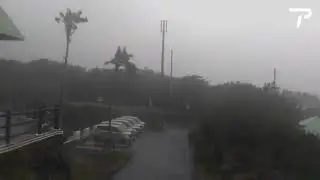 Typhoon Halong hits Japan's Izu islands 