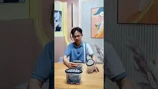 Review hộp h&uacute;t ẩm c&oacute; thực sự tốt như quảng c&aacute;o