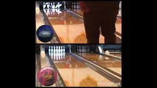 Radical Bonus Solid & Zing! Pearl reaction comparison!