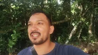 VOLTANDO PARA A CHÁCARA 