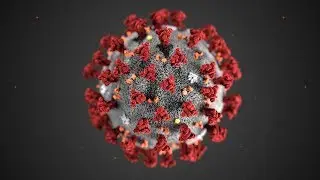 Corona Virus Safety Tips   How To Save Your Life by Following These Tips - Corona Virus symptoms
