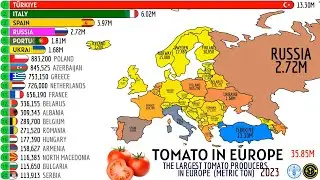 THE LARGEST TOMATO PRODUCERS IN EUROPE