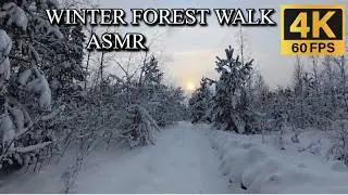 SNOWY FOREST WALK ASMR 🌲 CRUNCHING SNOW FOOTSTEPS IN A WINTER WONDERLAND ❄️ 4K 📺