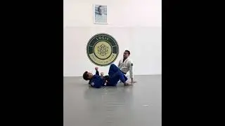 Great closed guard drill, arm bar to omoplata to triangle.