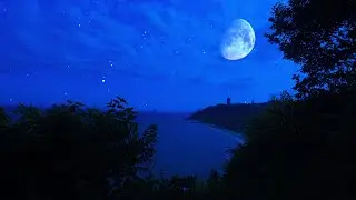 Cricket & Insects Sounds in Tranquil Night - Nighttime Ambience for Relaxation, Focus, Restful Sleep