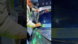 CARLAS-TPU Windshield Film #wrapping #windshieldfilm