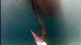 TRAILER: Anchor Tests on Penetration and Holding