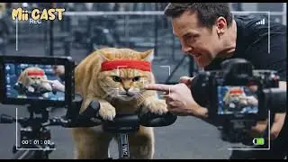 New year's resolution: lose weight - Behind the Scene ep3 | Pet's talkshow | Podcast | Miicast