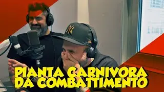 I TAMARRI - PIANTA CARNIVORA DA COMBATTIMENTO