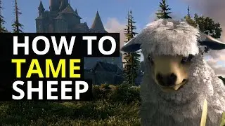 Dark and Light - How To Tame Sheep (DNL Guide)