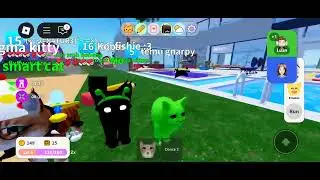 Shout out to them btw (0C34N chipz and Tim) READ DESC