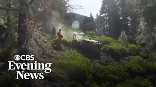 How cutting-edge robots can help prevent wildfires