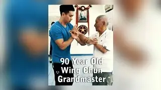 Wing Chun 90 Year Old Grandmaster Ip Chun and Dragon Chi Sao ( Sticky Hand )